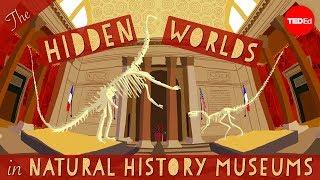 The hidden worlds within natural history museums - Joshua Drew