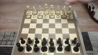 Шахматы. Три хода и белым можно сдаваться.