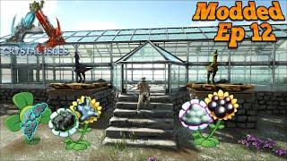 Grow Tons Of Rare Resources With This Mod! | AR Seed Mod | Ark: Crystal Isles Modded Ep 12