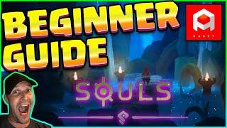 Souls Beginner Guide - EVERYTHING You NEED to Know!!