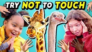 Parents & Kids Try Not To Touch Challenge (Ft. A Baby Giraffe)