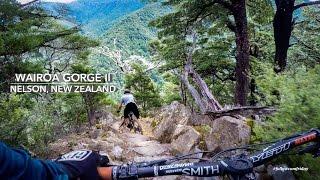 Wairoa Gorge Bike Park in Nelson, New Zealand