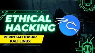 Perintah Dasar Kali Linux untuk Pemula | Penting untuk Pemula!