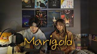  아이묭 "Marigold" 한국어 커버 | あいみょん "マリーゴールド" 韓国語カバー | Aimyon "Marigold" Korean Cover | inolab