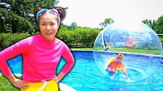 Ellie and Jimmy Play With Zorb Balls In The Swimming Pool!| Ellie Sparkles | WildBrain Learn at Home