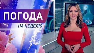 Погода на неделю 1-7 марта 2021. Прогноз погоды. Беларусь | Метеогид