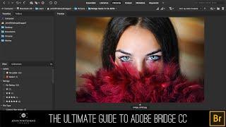 The Ultimate Guide to Adobe Bridge CC