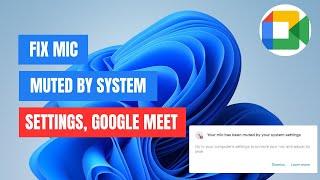 Fixing: Your Mic is Muted by System Settings on Google Meet