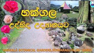 HAKGALA BOTANICAL GARDEN, NUWARAELIYA, SRI LANKA. හක්ගල උද්භිද උද්‍යානයේ අසිරිය..