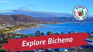  Explore Bicheno Tasmania ~ Things to do in and around Bicheno