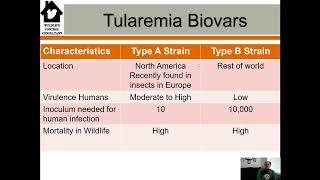 What You Need To Know About Tularemia Rabbit Fever In The US.