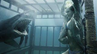 Shark Night Full Movie Facts & Review in English /  Sara Paxton / Dustin Milligan