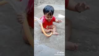 Baby status on tiktok