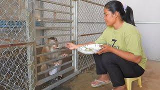 Adorable Mom Feeding Delicious Rice To Little Kako