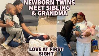 NEWBORN TWINS MEET TODDLER SIBLING AND GRANDMA FOR THE FIRST TIME | OVERWHELMING REACTION OF MY SON