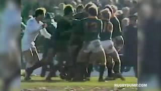 FIGHTS: New Zealand and South Africa don't hold back in 1981 Christchurch brawls