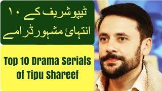 Tipu Sharif Top 10 Dramas Serials | T10PP