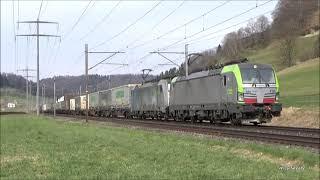 "VECTRON" Re 475 419 super Lichthupe und Mega Makro mit Ambrogio Zug in Wynigen