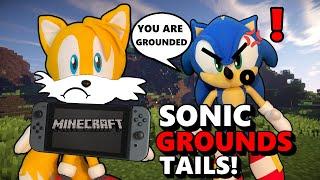 Sonic Plush - Sonic Grounds Tails!