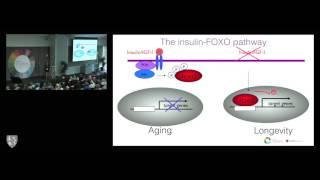 Approaching the Second Half: The Latest Research on Longevity and Aging; By Anne Brunet, PhD