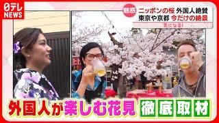 【気になる！】外国人が絶賛「日本の桜」  “ハナミ文化”世界へ