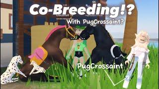 Co-Breeding with PugCrossiant!? // Collab 2 // @PugCrossaint