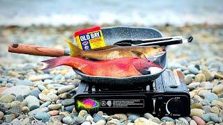 72 Hour ISLAND SURVIVAL FISHING | Catch & Cook