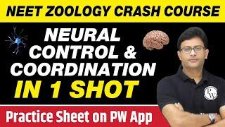 NEURAL CONTROL AND COORDINATION in One Shot - All Concepts, Tricks & PYQs | Class 11 | NEET