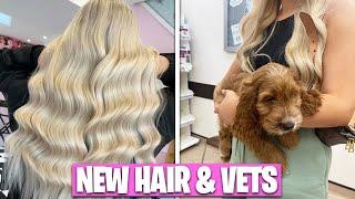 MY NEW HAIR TRANSFORMATION!! *Exciting meetings & our puppy goes to the vets*