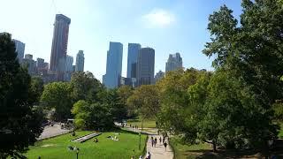 NewYork Central Park Video Footage | Free Stock Footage HD | NoCopyrightVideos - Stock Videos [2022]