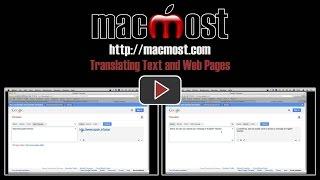 Translating Text and Web Pages (#1021)