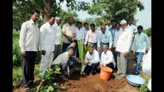 Visit of Dy. Collector, Satara to Babar Brothers Goat Farm