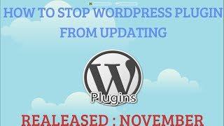 How To Stop WordPress Plugin From Updating (No WordPress Notification)