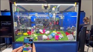 Zoom's Video SDK-Powered Claw Machine