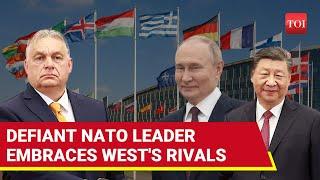 Russia-Friendly NATO Leader Defies West Again; After Putin, Now Hungary's Orban Embraces China's Xi