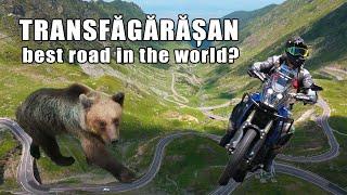 Transfagarasan - best road in the world? Yamaha Tenere 700 ride raw exhaust on road