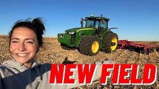 A New Field To Farm!