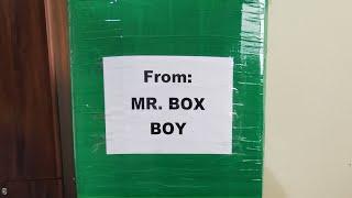 MY GREEN BALIKBAYAN BOX GIVEAWAY | MR BOX BOY