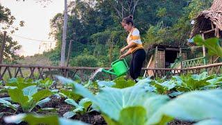 her daily life asia builds a bamboo farm house