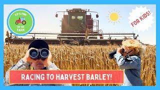  Racing to Harvest Barley! Can We Fill the Big Truck in Time? 