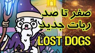 آموزش کامل ربات Lost Dogs | ربات معتبر و مورد حمایت پروژه نات کوین و ارز دیجیتال تون | ایردراپ معتبر