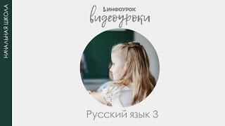 Однокоренные слова. Корень слова и окончание | Русский язык 3 класс #7 | Инфоурок