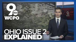 Explaining Issue 2: Ohio's marijuana ballot measure