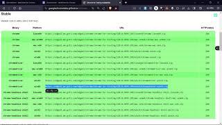 How to Install Chrome webdriver for Selenium | Python Selenium Windows 11