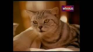Whiskas, tv reklame 1996, fra VHS bånd