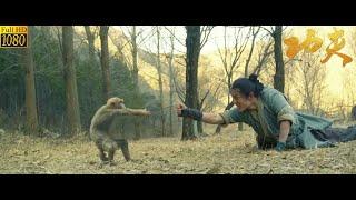 Kung Fu Movie: Silly boy bitten by monkey gains Supreme Treasure of Demon Cult, becoming invincible.