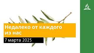 7 марта 2025. Недалеко от каждого из нас. Под сенью благодати | Адвентисты