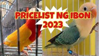 Pricelist Ng Ibon 2023 | Kung Pwede Lang Sana! | African Lovebirds