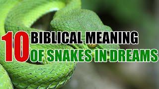 Biblical Meaning of Snakes In Dreams - Sign Meaning