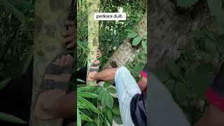 perkara duit #videolucu #videohiburan #videongakak #videoketawa #viral #videoshort #komexi #hiburan